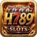 H789 Game